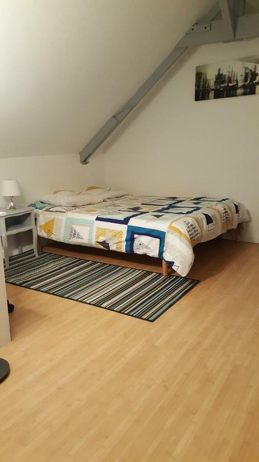 Joli Duplex Gare - Centre Ville レンヌ エクステリア 写真